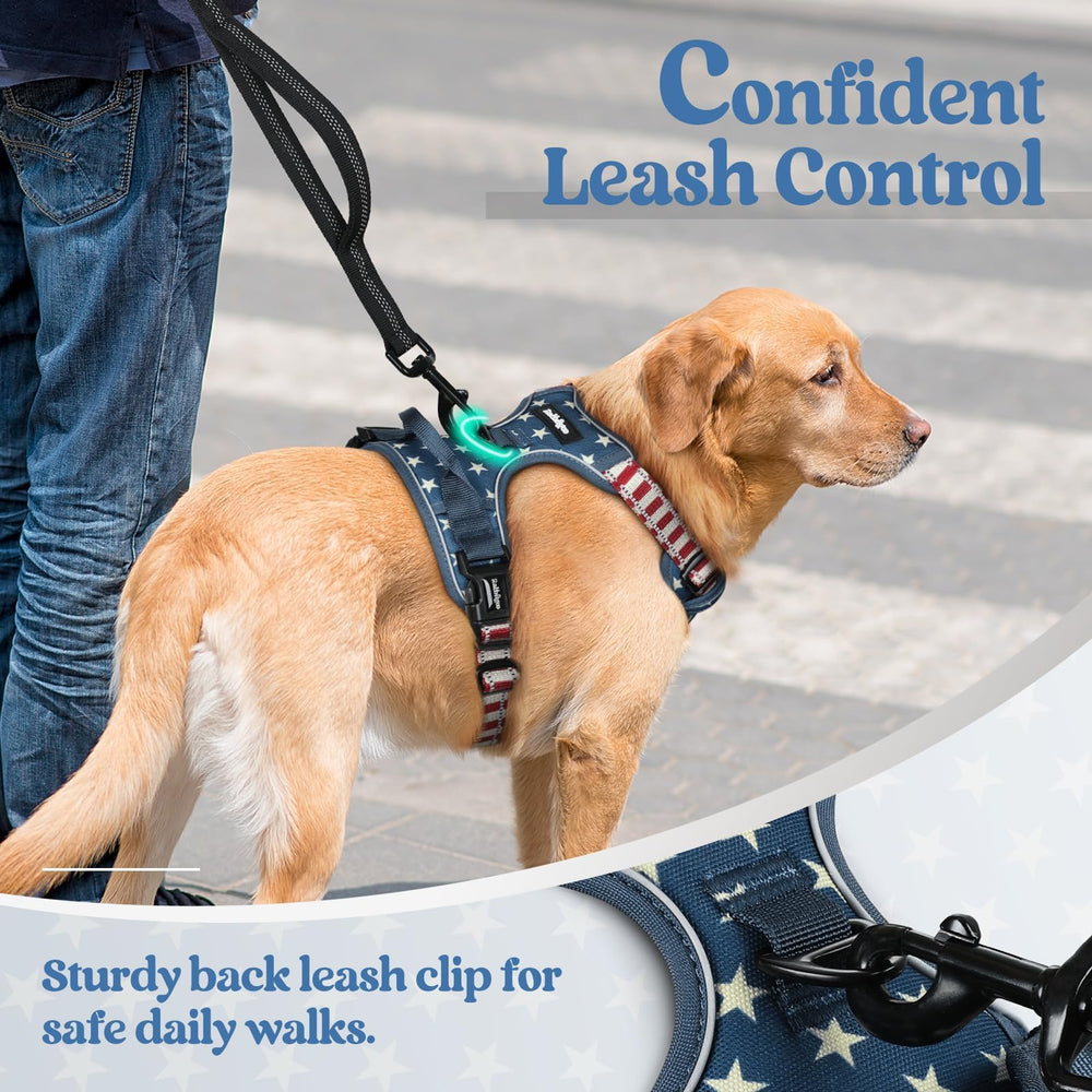 rabbitgoo Dog Harness with reflective strips visible on the vest.