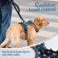 rabbitgoo Dog Harness with reflective strips visible on the vest.