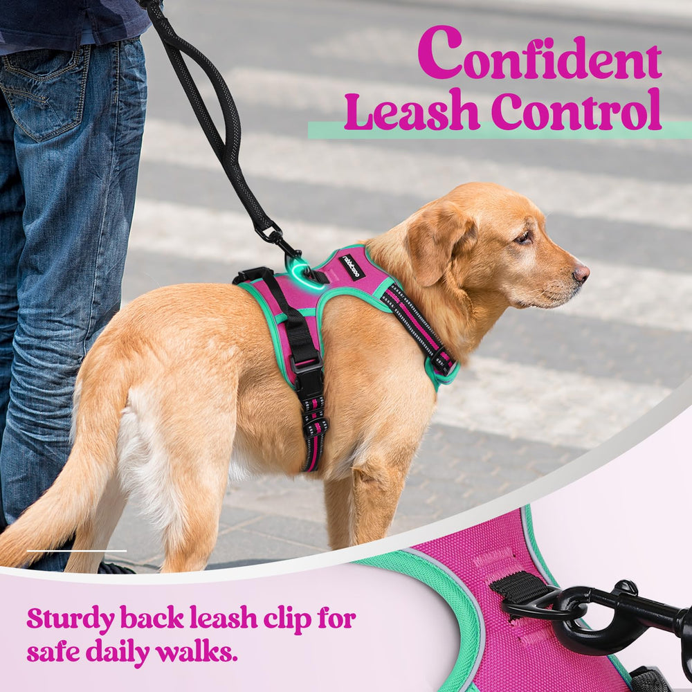 rabbitgoo dog harness reflective strips shown in detail.