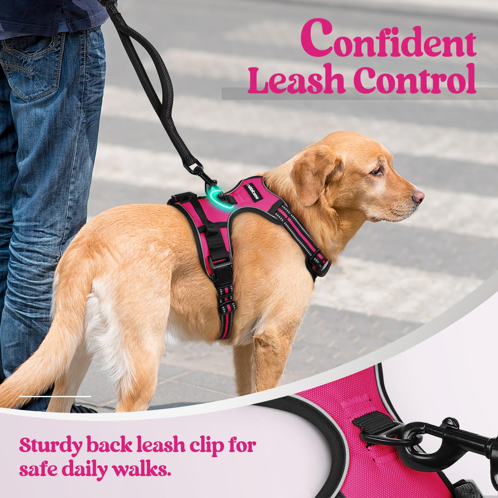 rabbitgoo dog harness close-up showing reflective strips for walks.