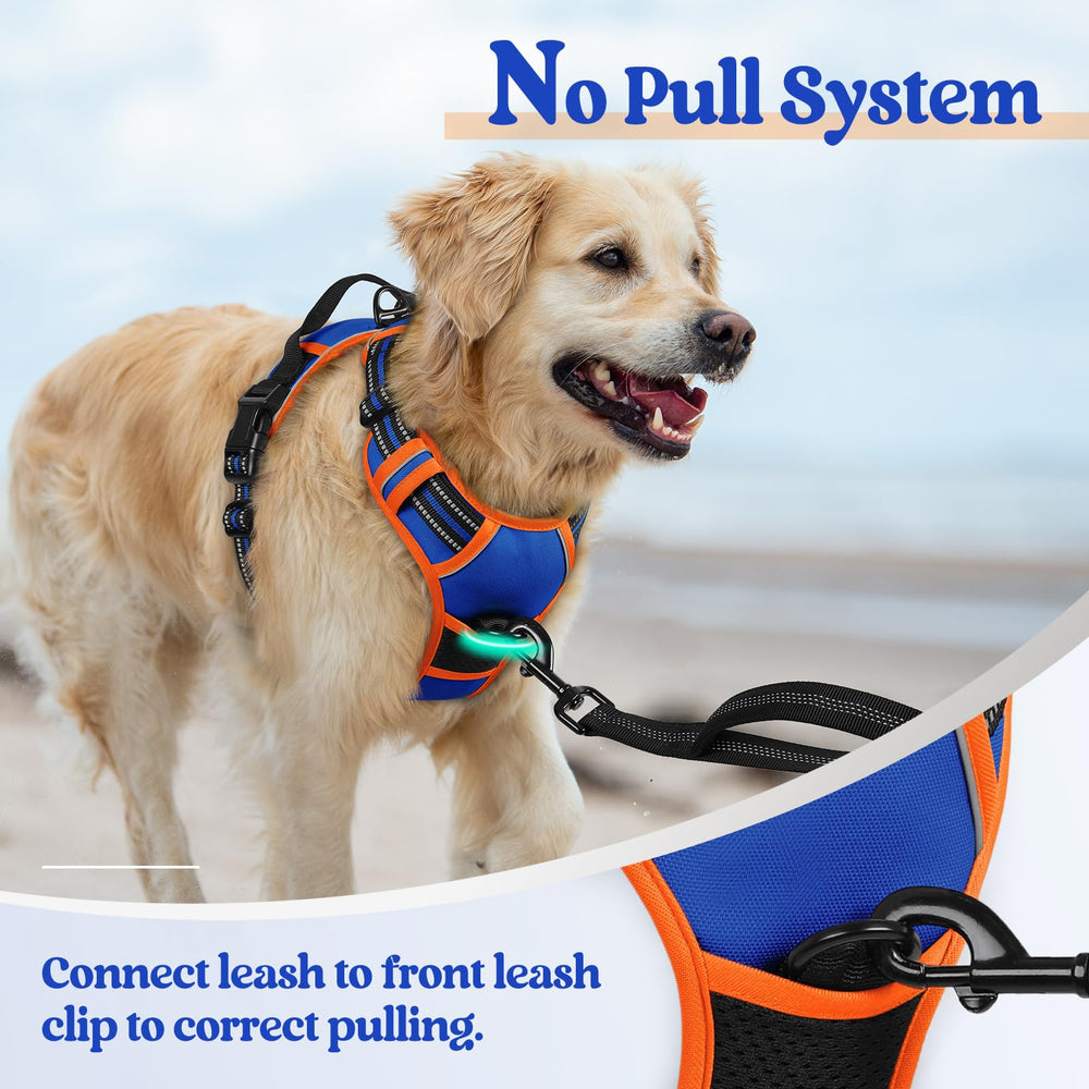 rabbitgoo dog harness reflective strips shown along the vest.