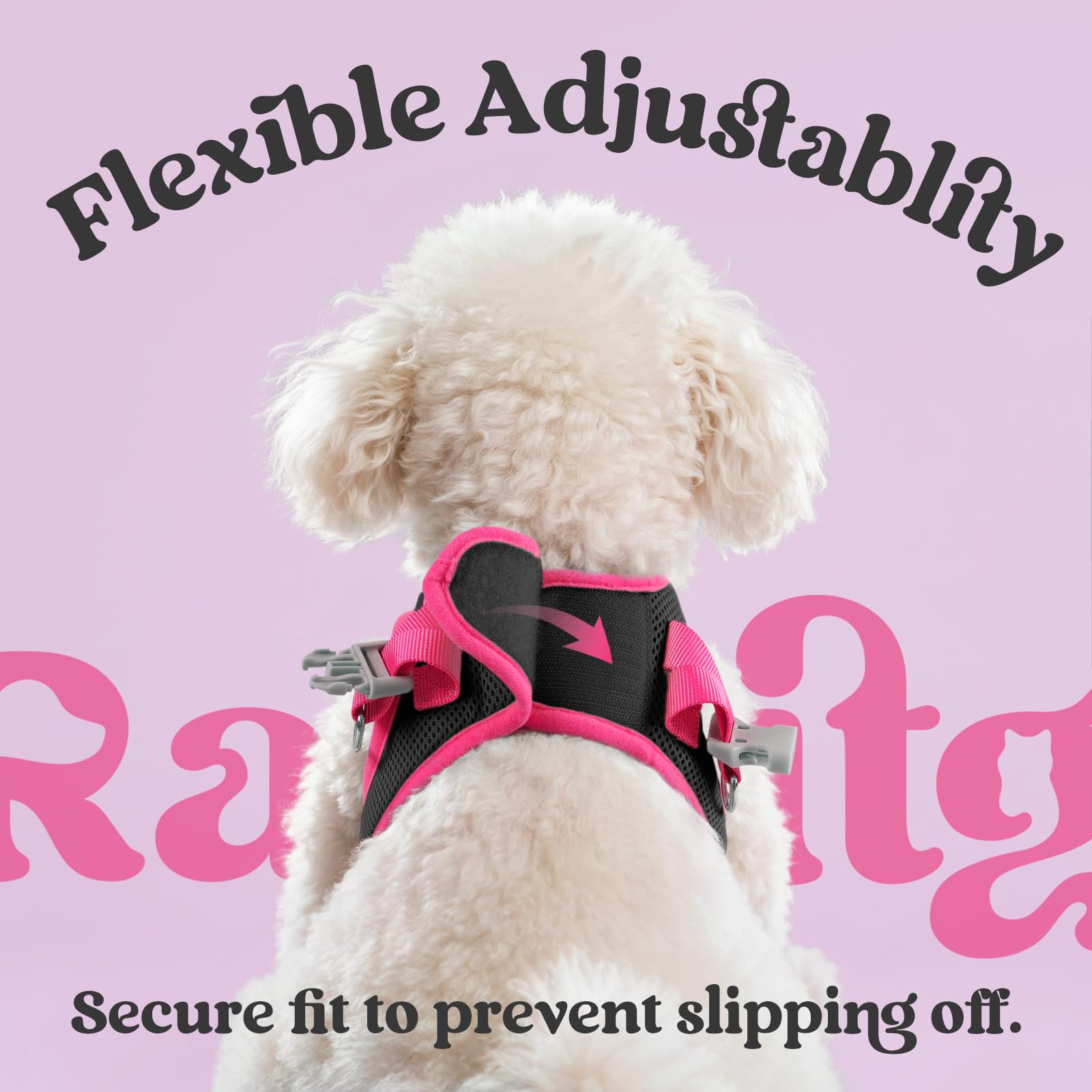rabbitgoo small dog harness detail showing the reflective strips.