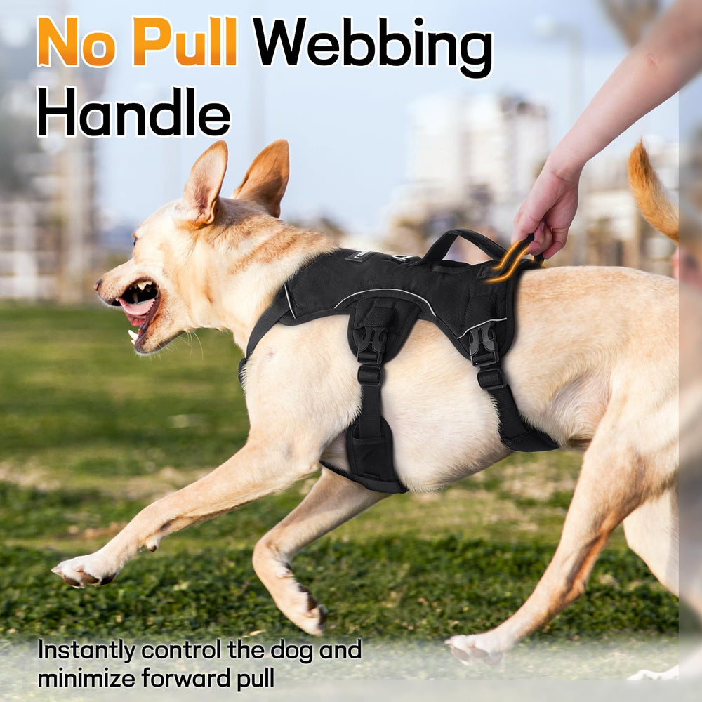 Close-up of a quick-release buckle on the rabbitgoo dog harness.
