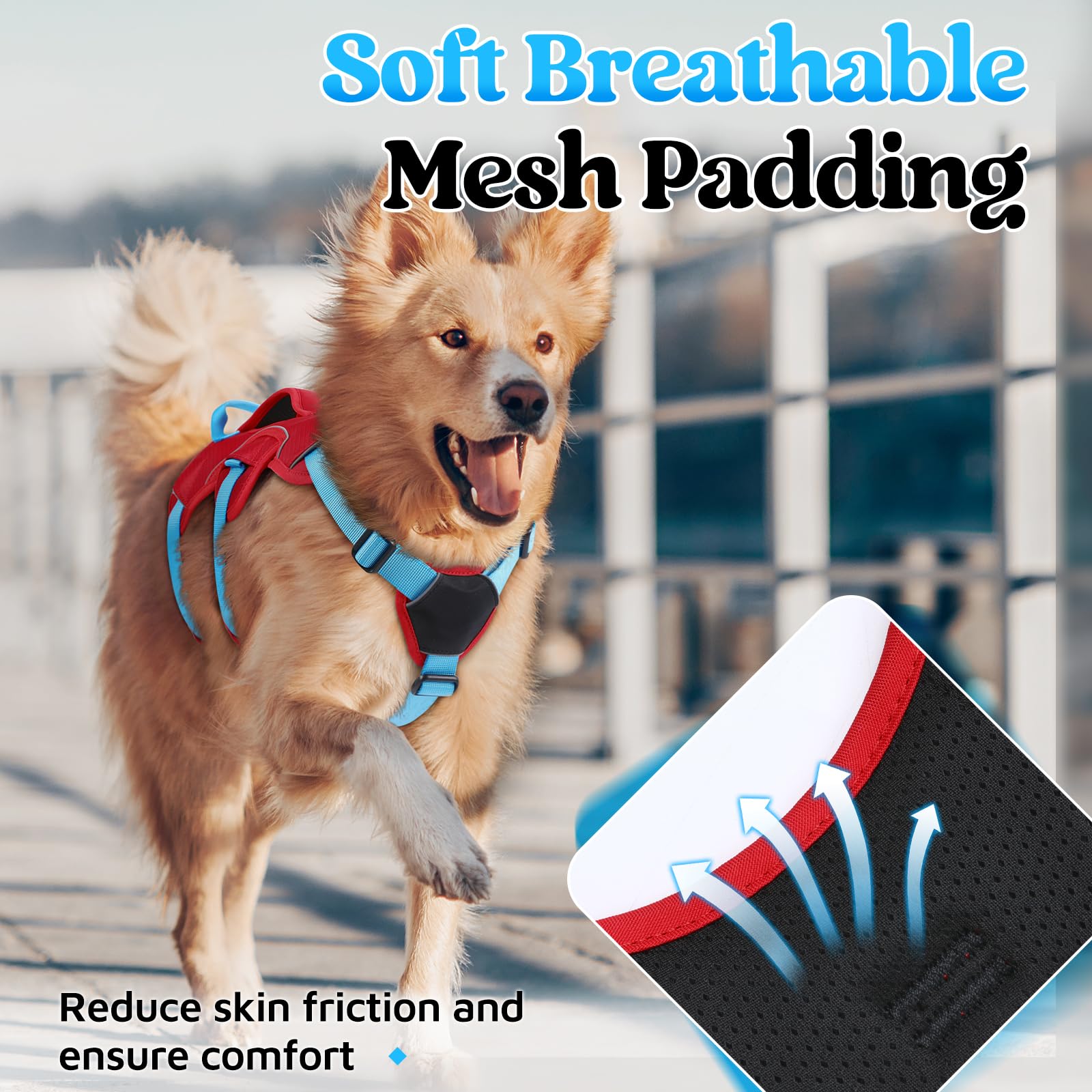 rabbitgoo dog harness detail showing a quick-release buckle.
