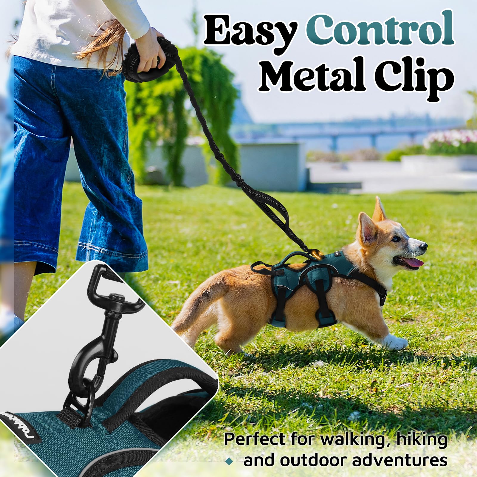 rabbitgoo dog harness quick-release buckles shown in detail.