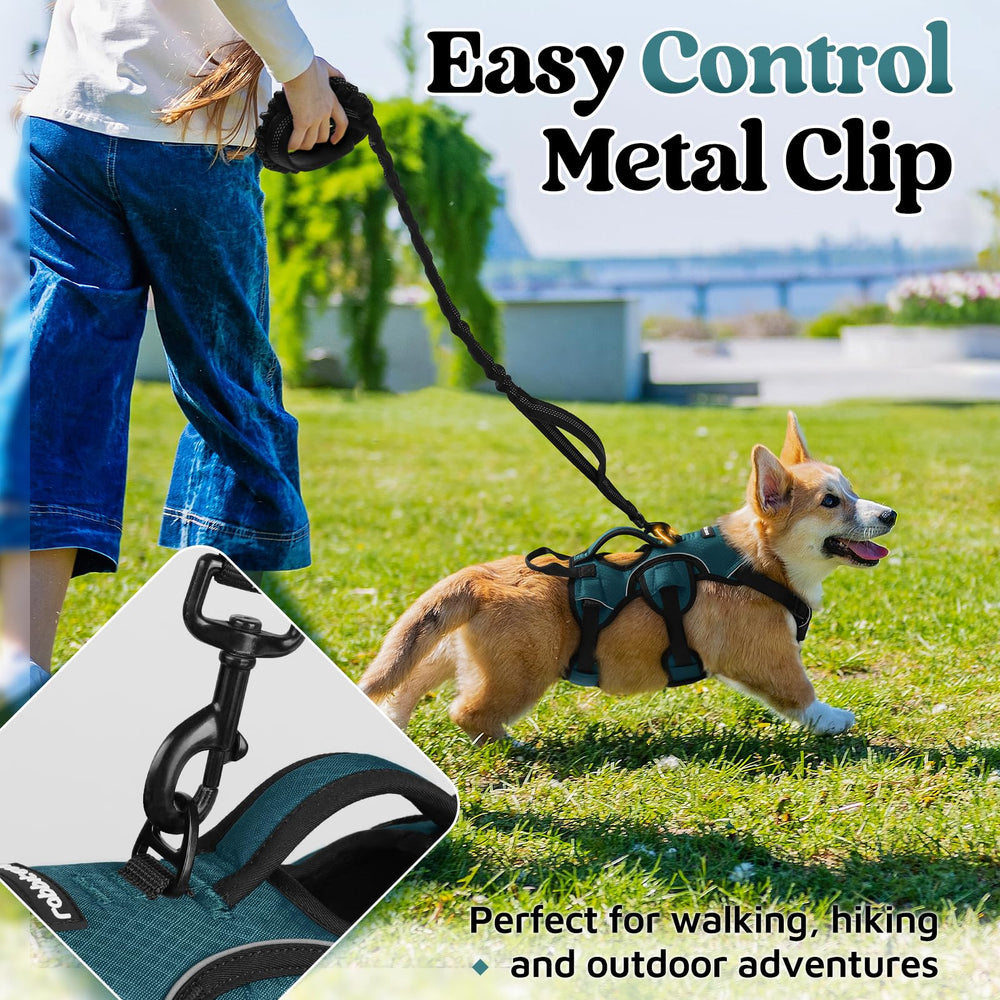 rabbitgoo dog harness quick-release buckles shown in detail.