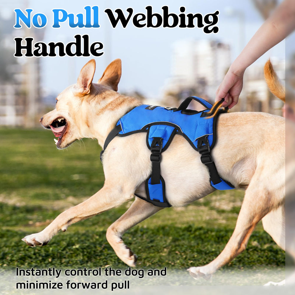 rabbitgoo dog harness quick-release buckles shown for putting it on and removing it.