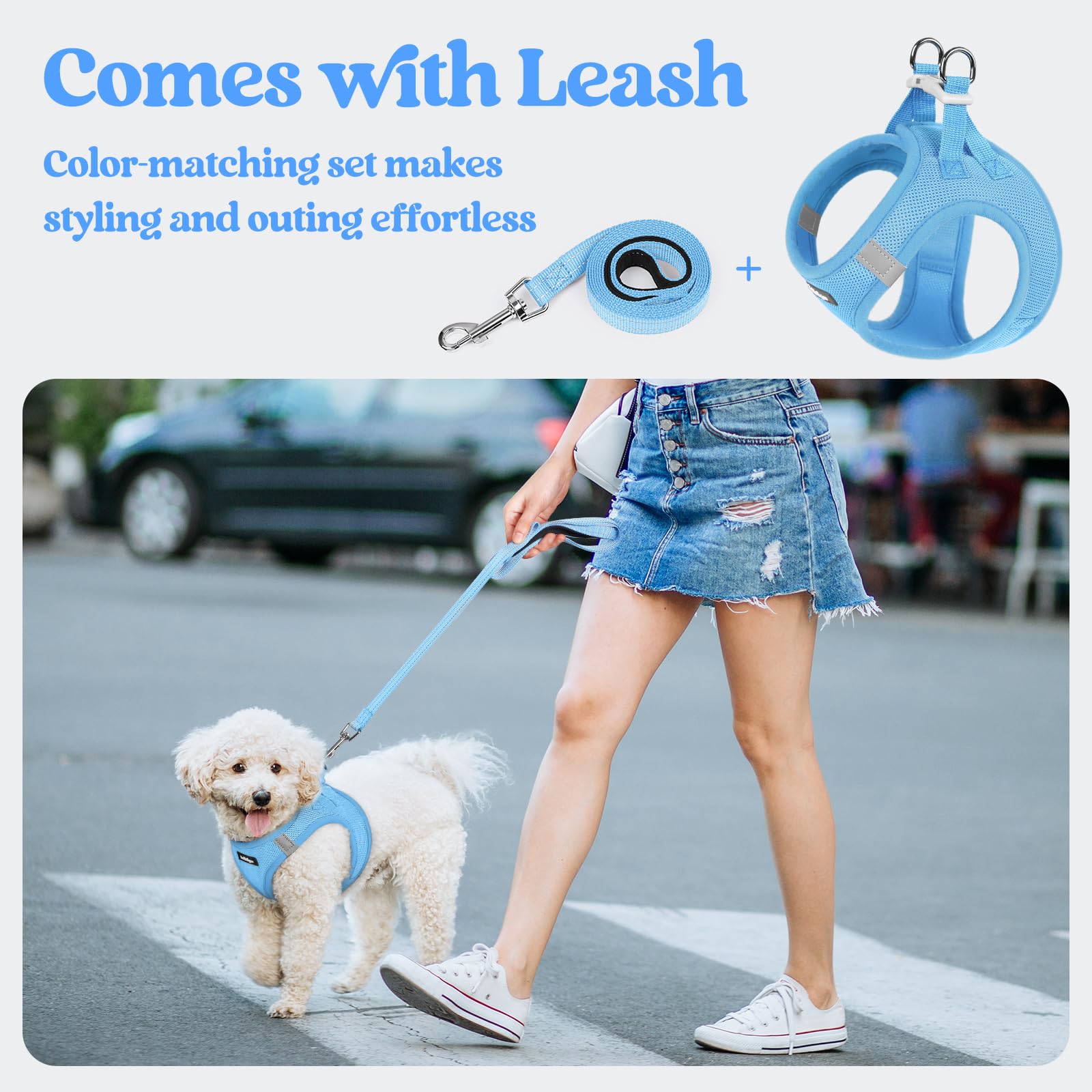 rabbitgoo dog harness with a close view of the fastening buckle.