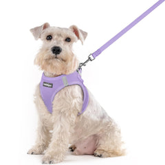 rabbitgoo dog harness and leash set shown from the front