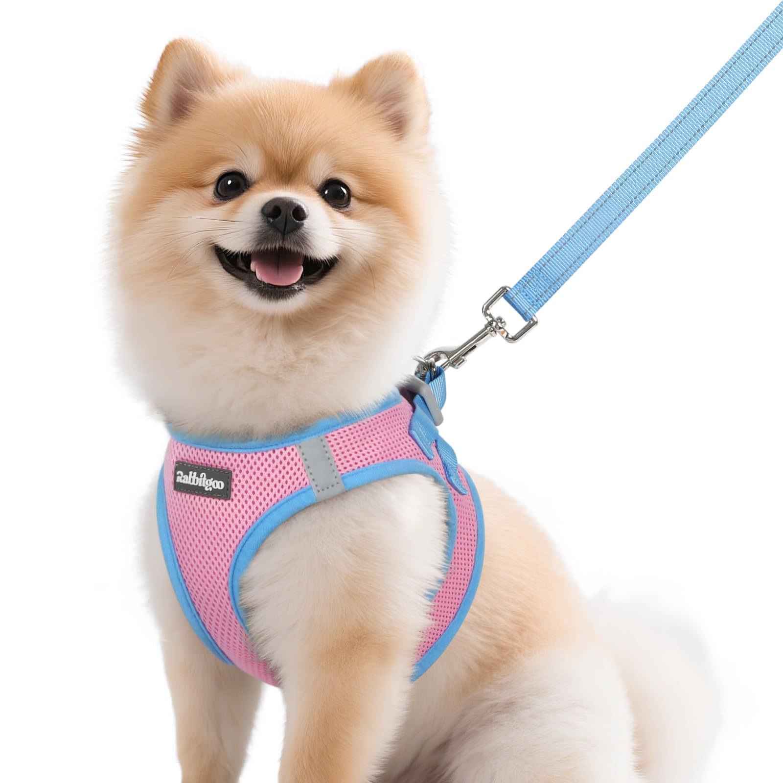 rabbitgoo dog harness and leash set shown from the front