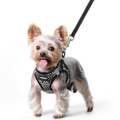 Front view of the rabbitgoo dog harness vest.