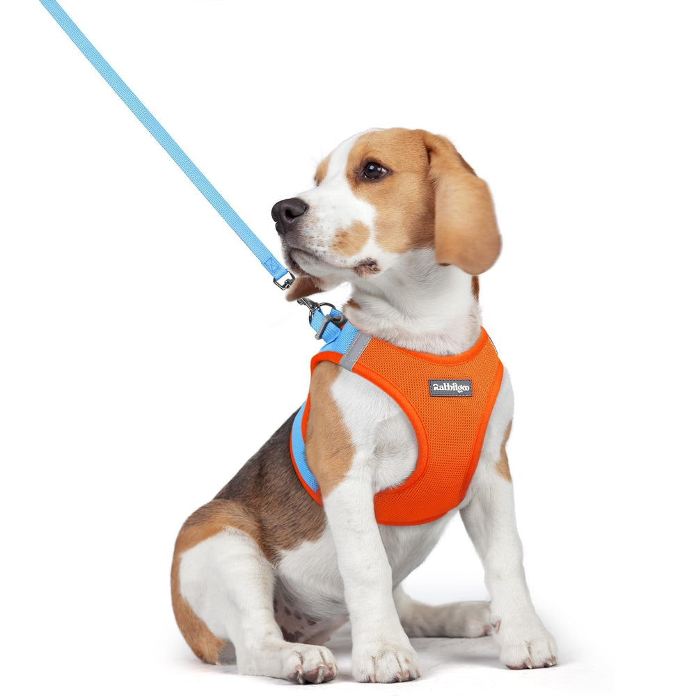 rabbitgoo dog harness and leash set shown from the front.