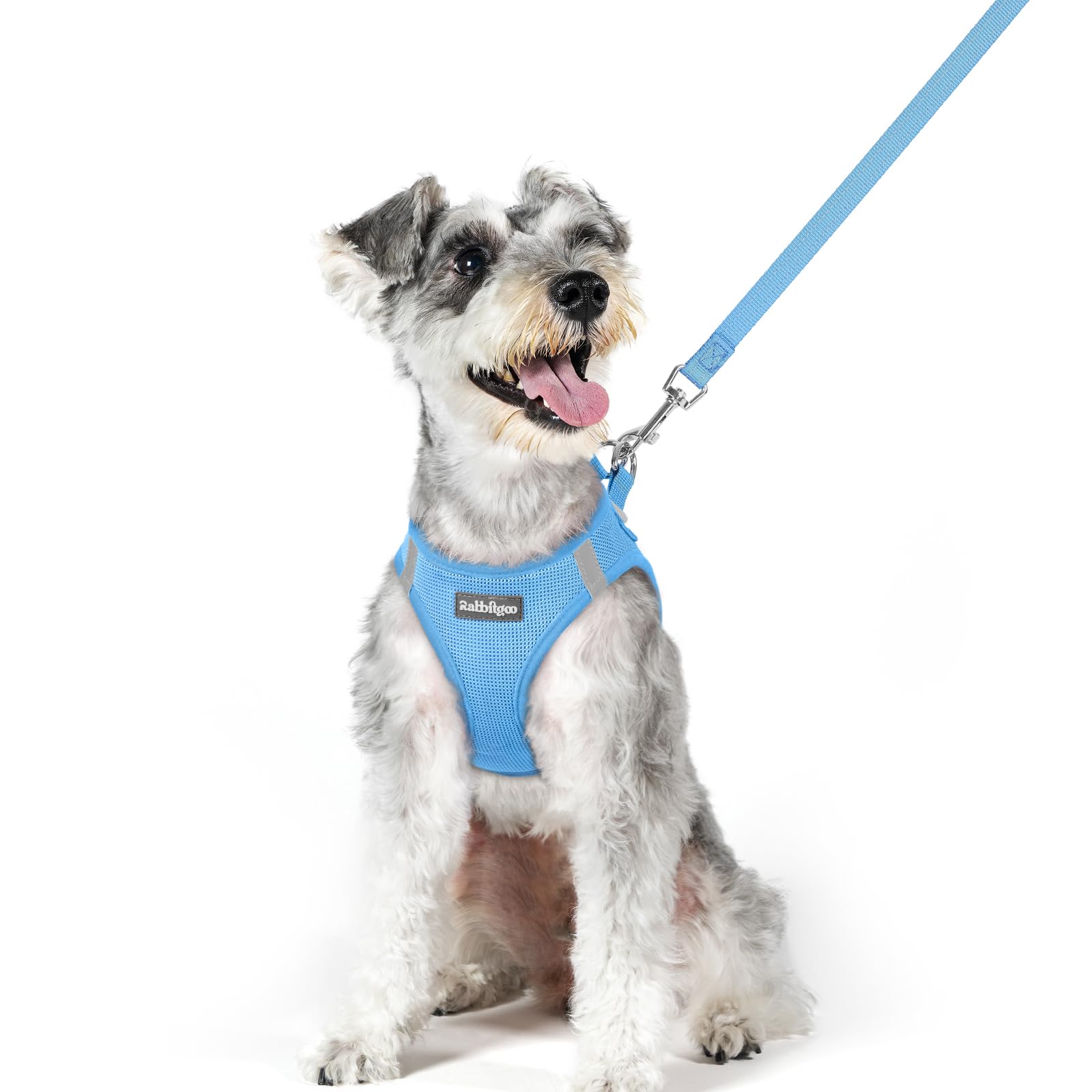 rabbitgoo dog harness and leash set shown from the front.