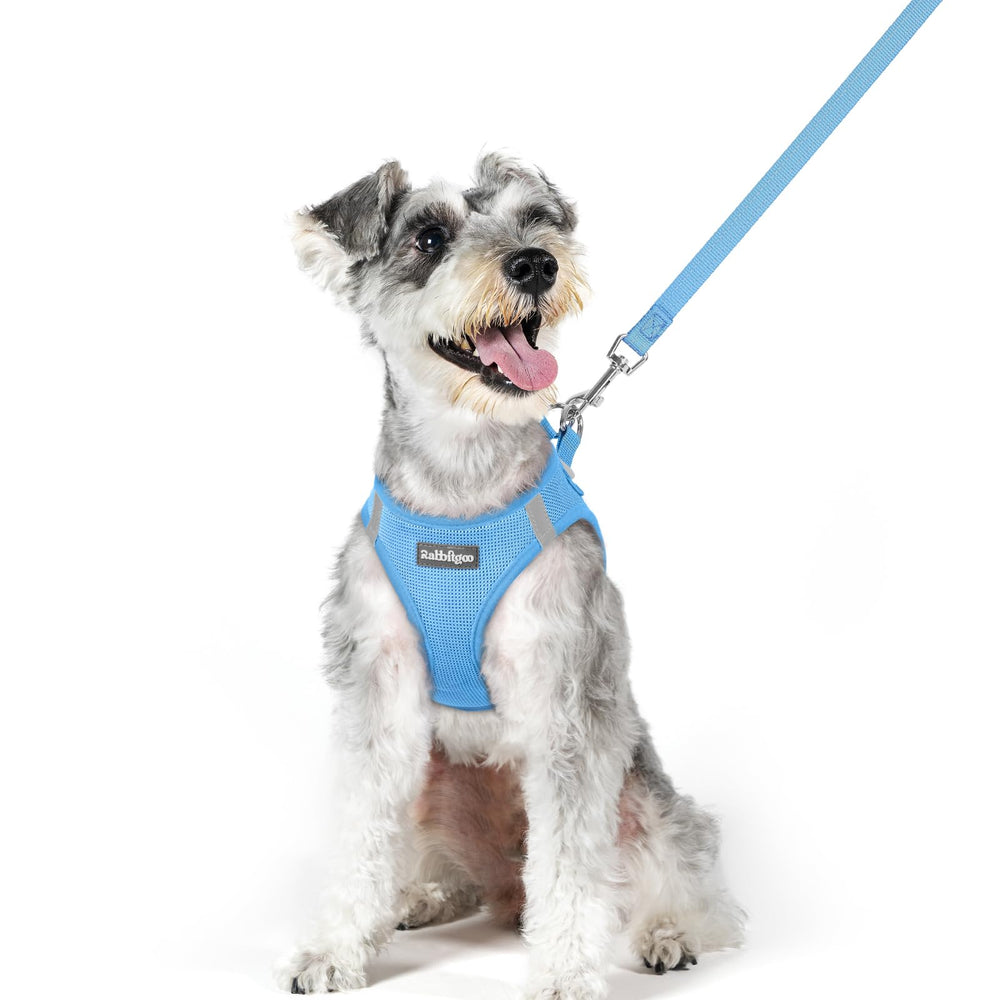 rabbitgoo dog harness and leash set shown from the front.