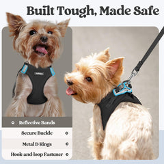 rabbitgoo dog leash with its anti-tangle clip shown close up.