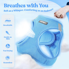 rabbitgoo dog harness with a close view of the air-mesh fabric.
