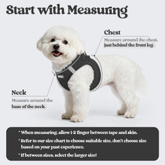 rabbitgoo dog harness with a close view of its quick-dry air-mesh fabric.