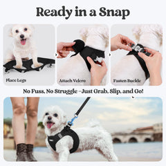 rabbitgoo dog leash showing its palm-padded handle.