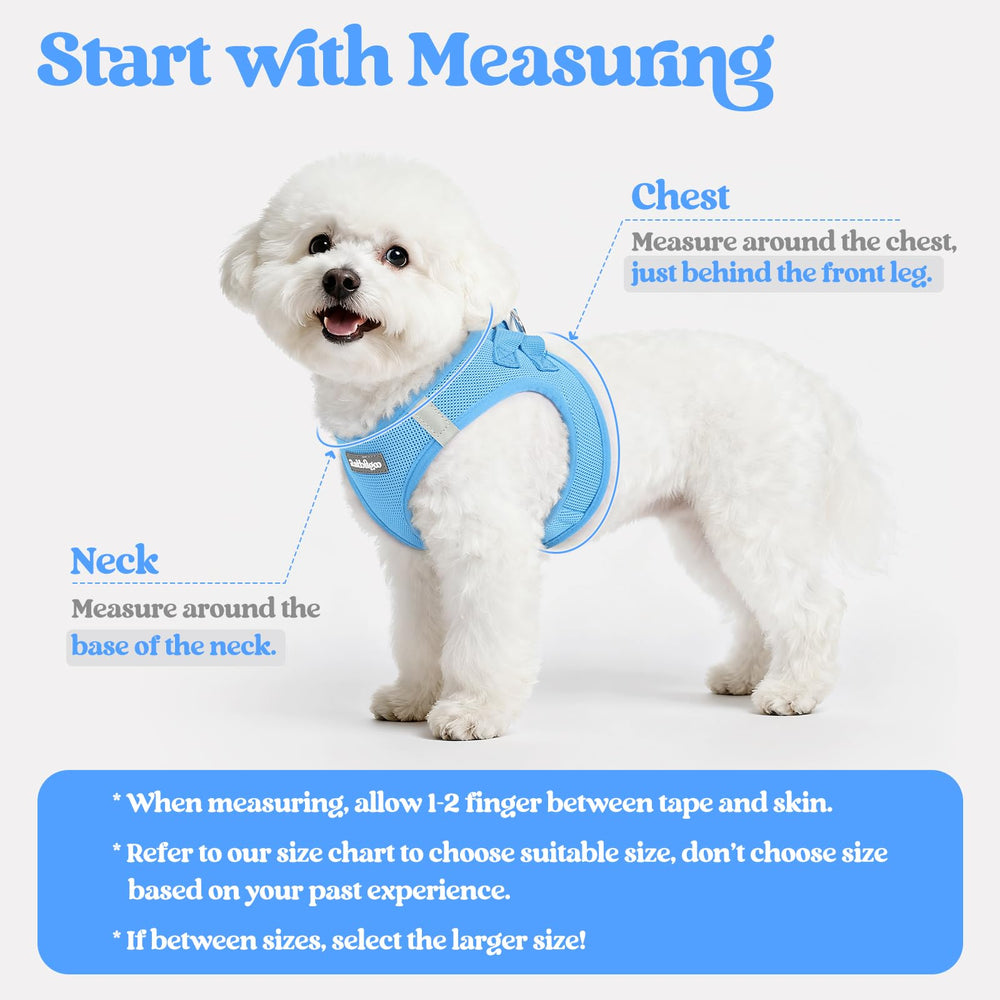 rabbitgoo dog harness showing its step-in vest shape.