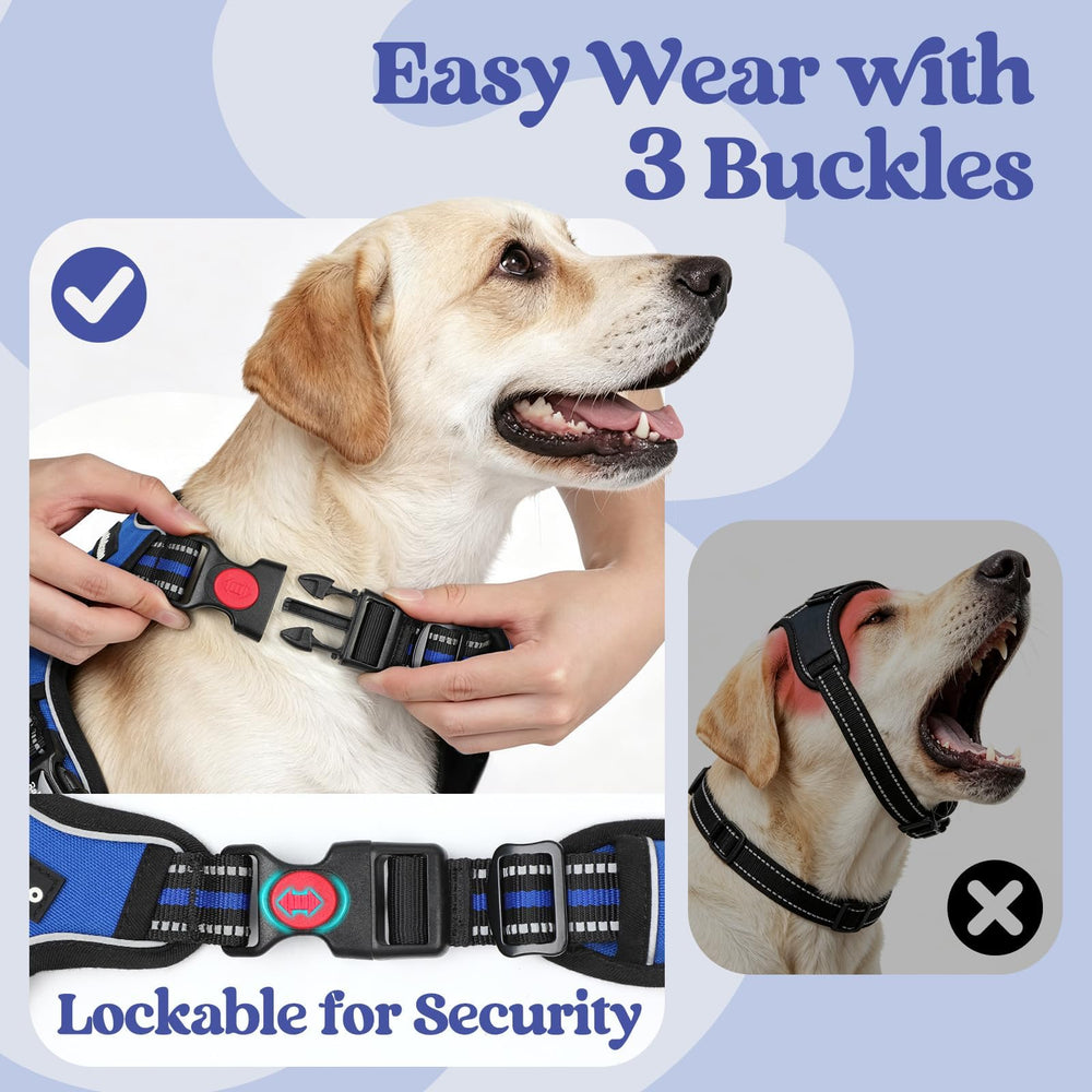 rabbitgoo Dog Harness shown from a side angle.