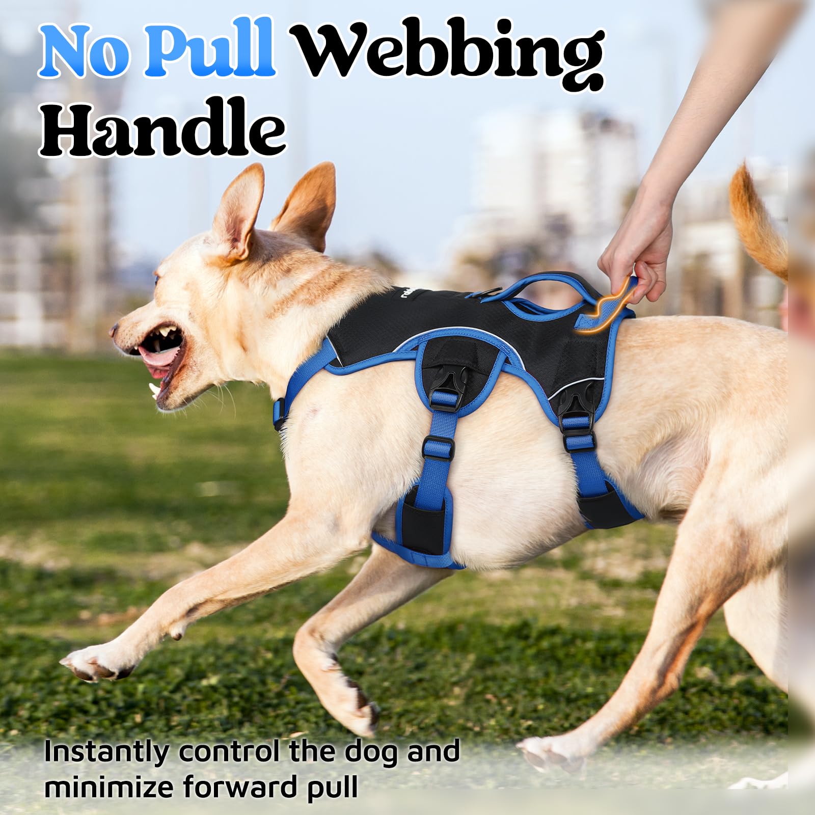 rabbitgoo dog harness shown from the side.