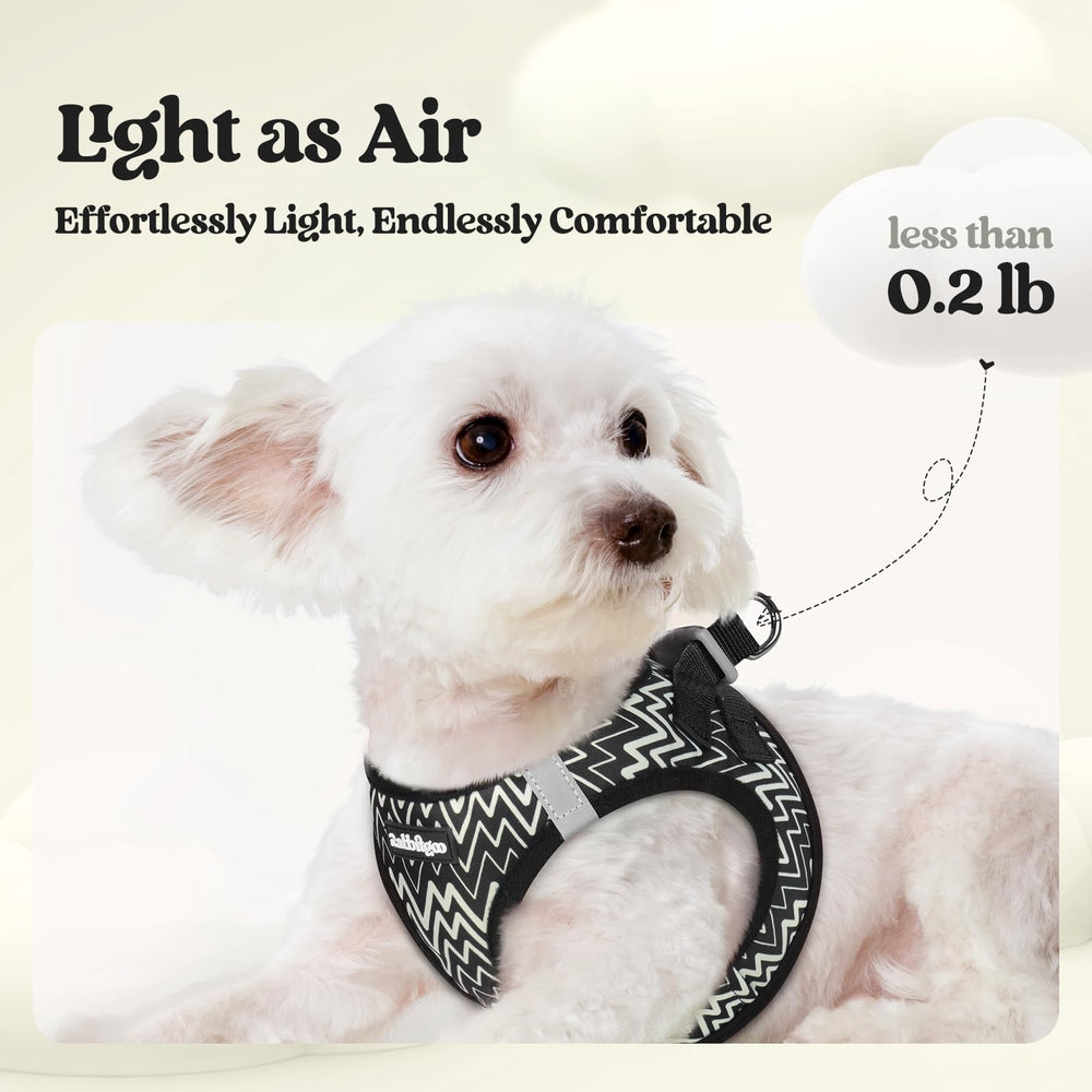 Step-in design of the rabbitgoo dog harness vest.