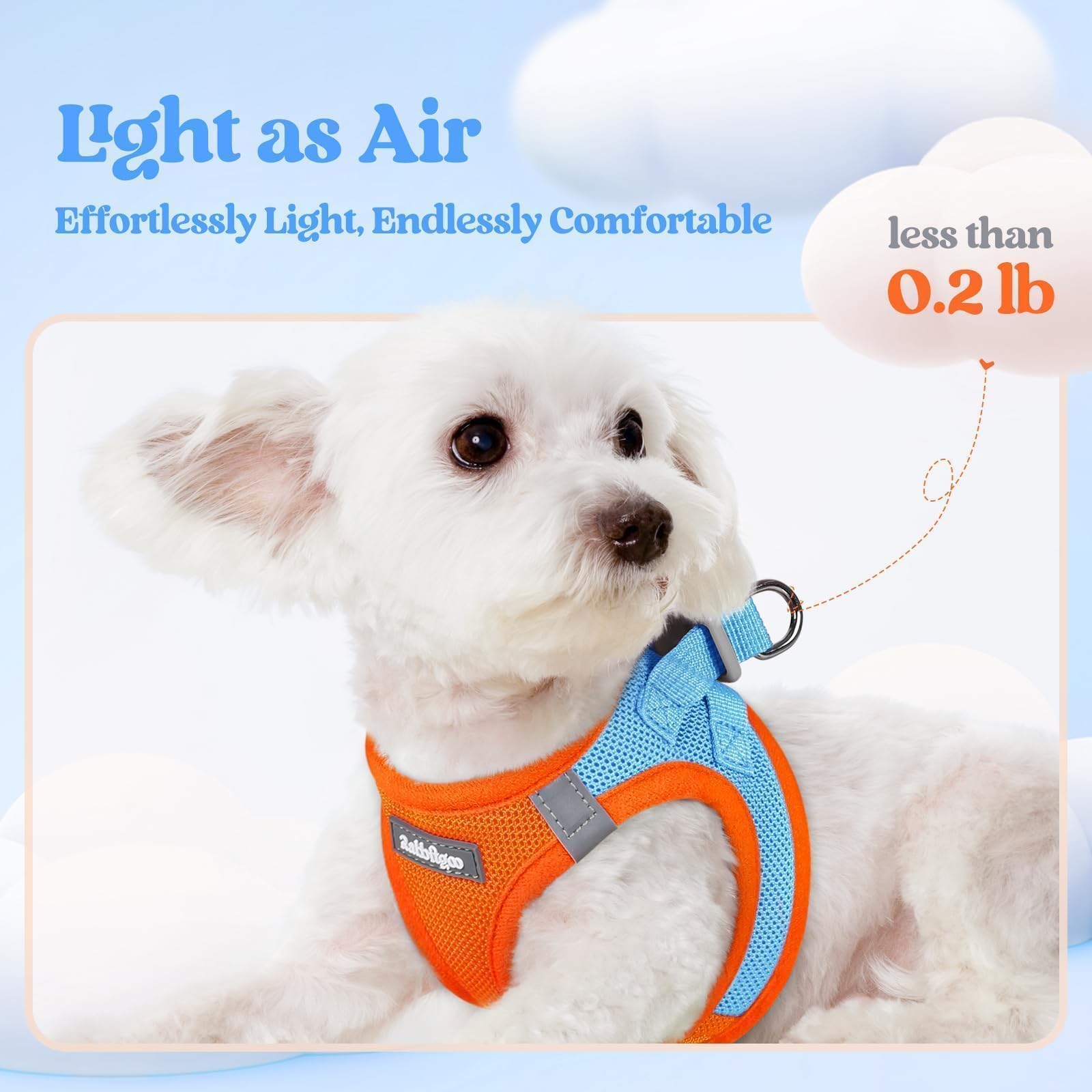 rabbitgoo dog harness showing the step-in vest design