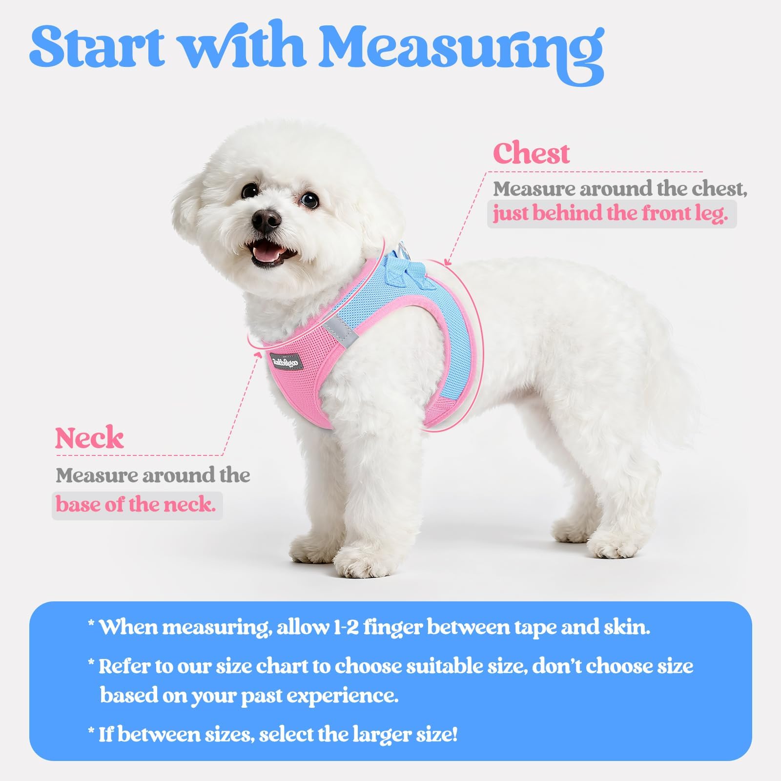 rabbitgoo dog harness showing its step-in vest design.