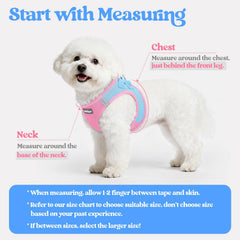 rabbitgoo dog harness showing its step-in vest design.
