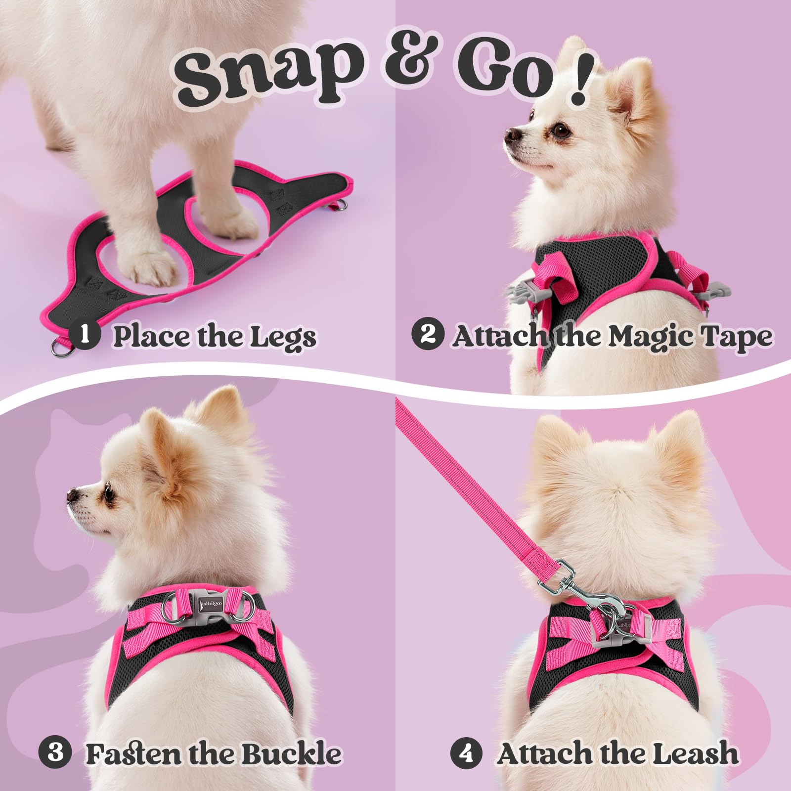 rabbitgoo small dog harness showing the openings used for the step-in fit.