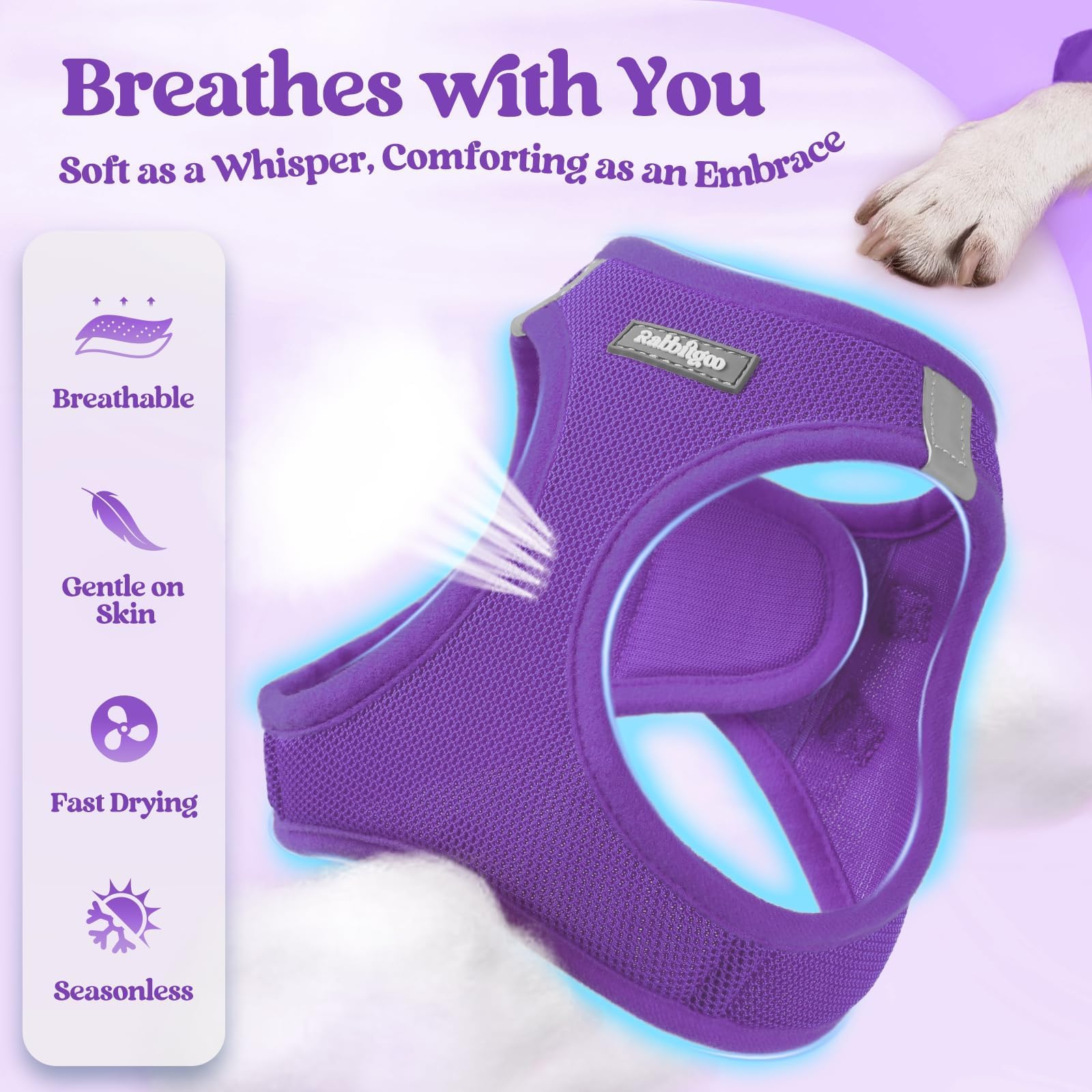 rabbitgoo dog harness showing the step-in vest design.