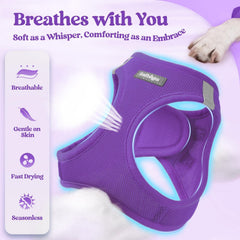 rabbitgoo dog harness showing the step-in vest design.