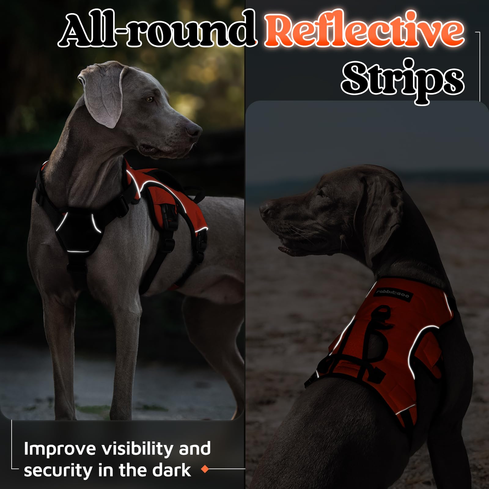 rabbitgoo dog harness in use as a person supports a dog with the padded handle.