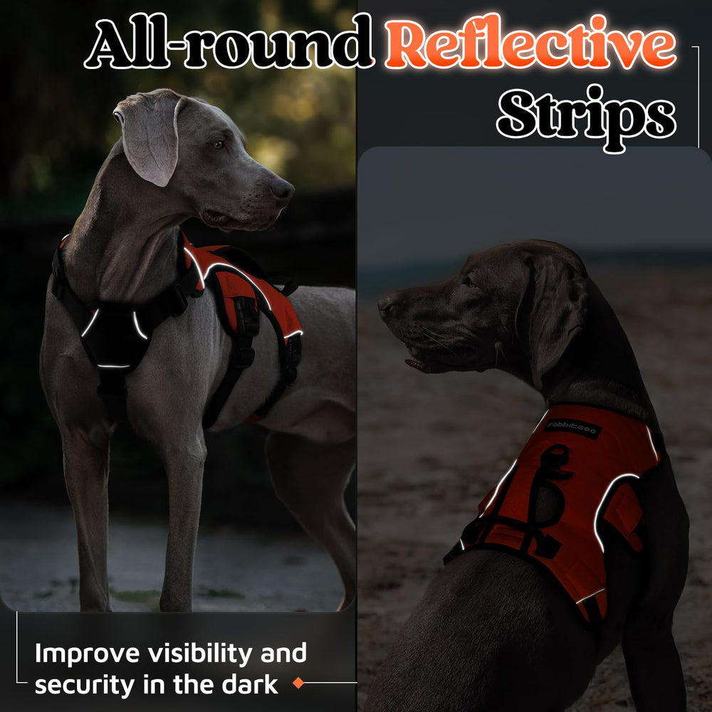 rabbitgoo dog harness in use as a person supports a dog with the padded handle.