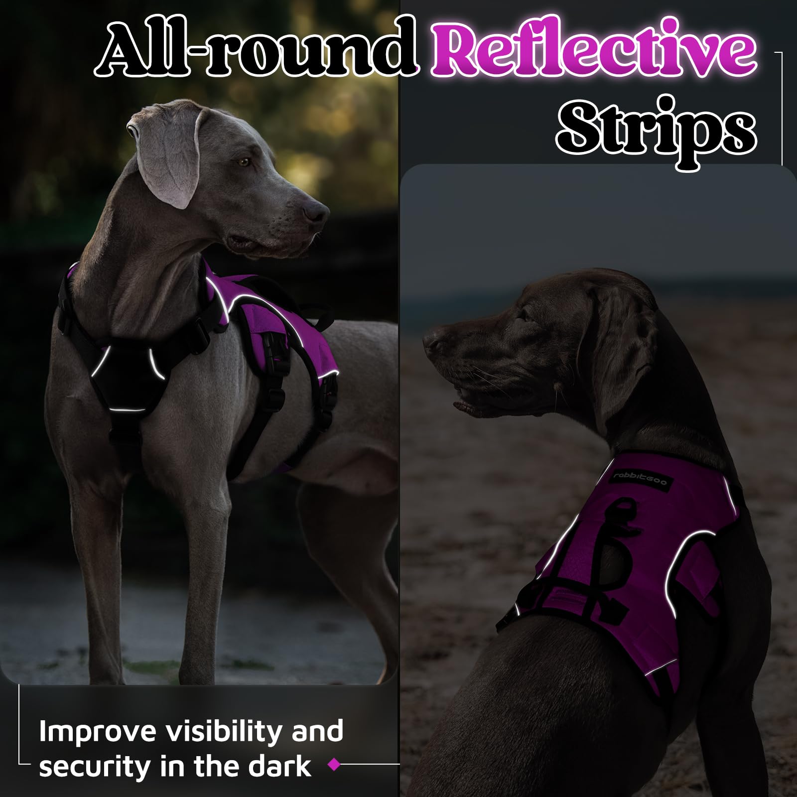 rabbitgoo dog harness being used to support a dog during an outing.