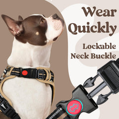 rabbitgoo Dog Harness for Large with its three-buckle closure visible.