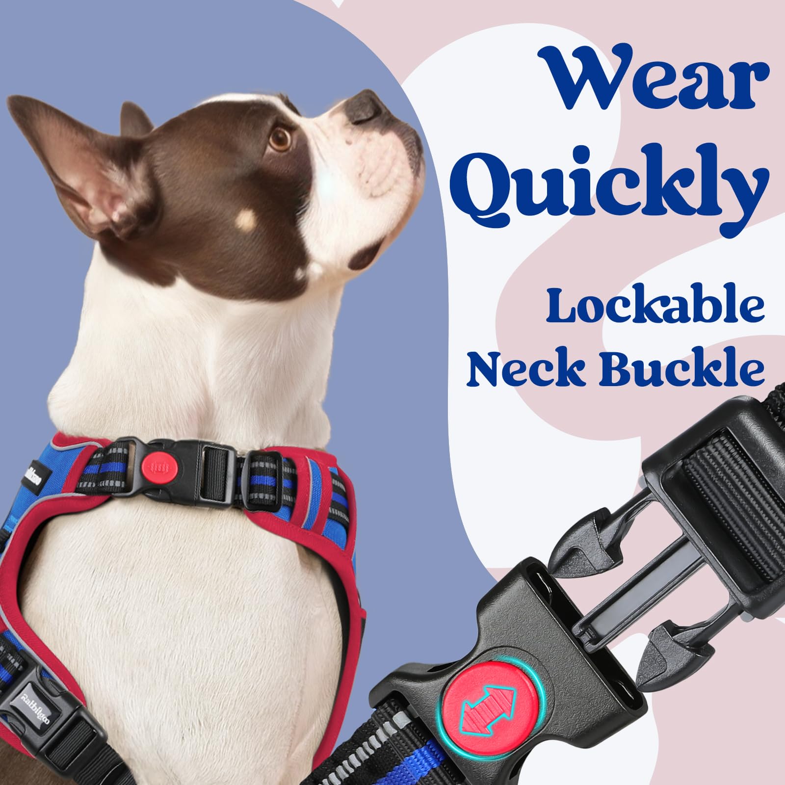 rabbitgoo dog harness showing its three buckle closures.