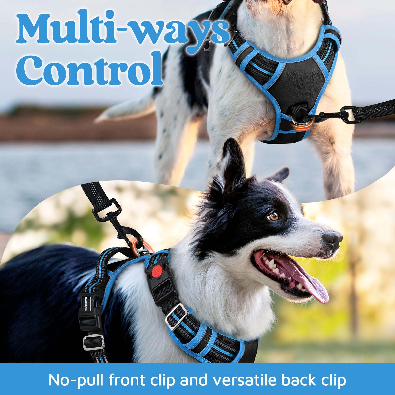 rabbitgoo dog harness detail showing its three fastening buckles