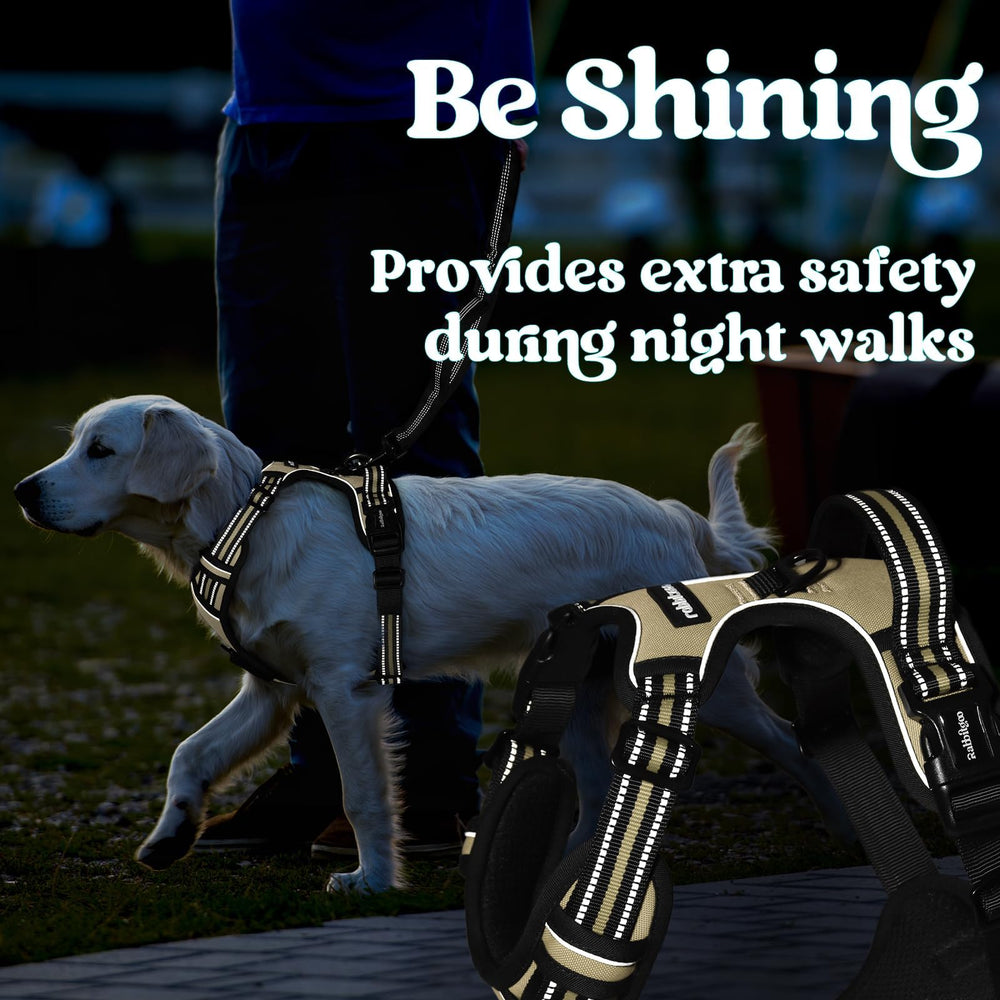 rabbitgoo Dog Harness top handle and metal leash rings shown in detail.