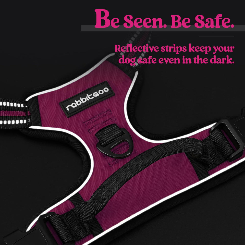 rabbitgoo dog harness detail featuring the top handle.