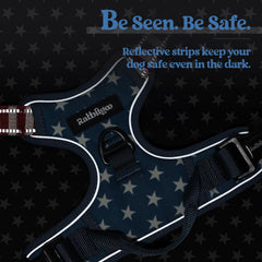 rabbitgoo Dog Harness detail showing the top holding handle.