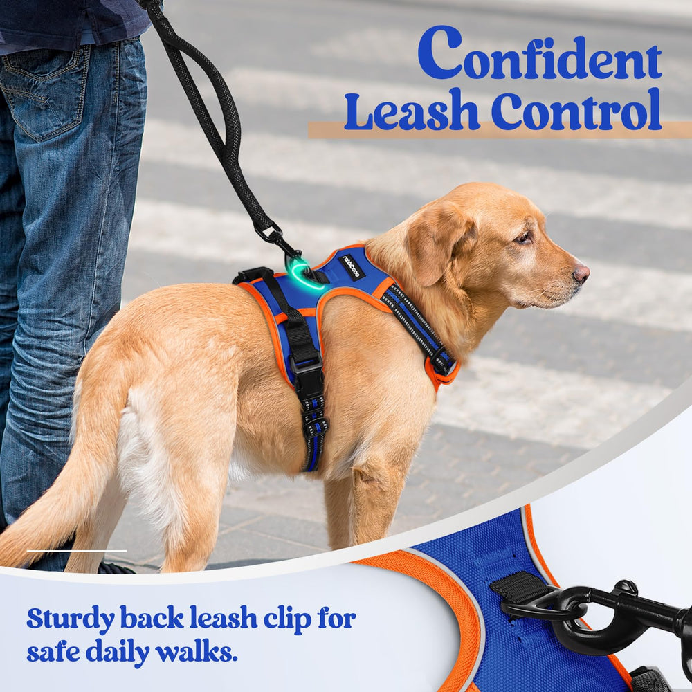 rabbitgoo dog harness top handle shown for holding the dog.