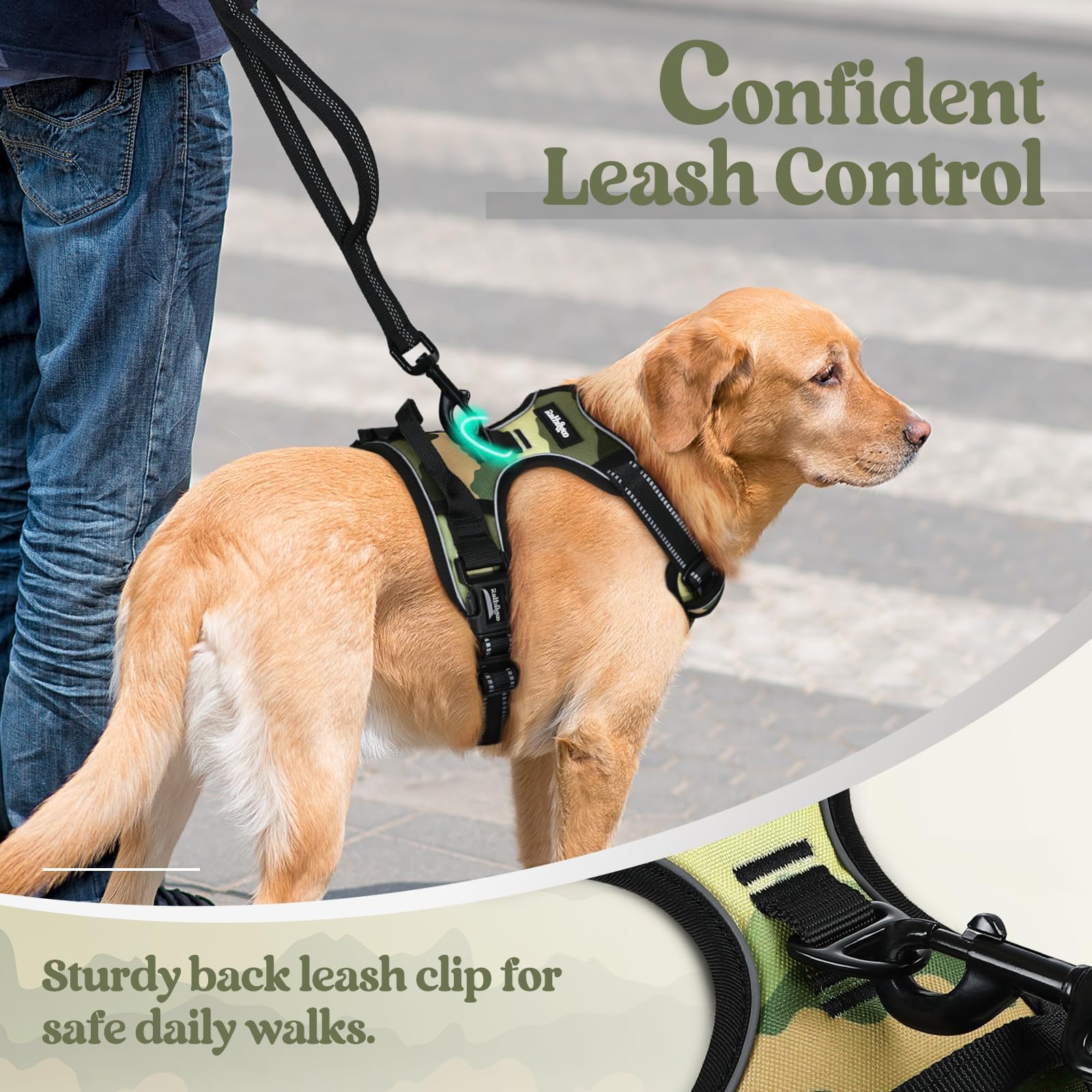 rabbitgoo Dog Harness detail showing the top handle.