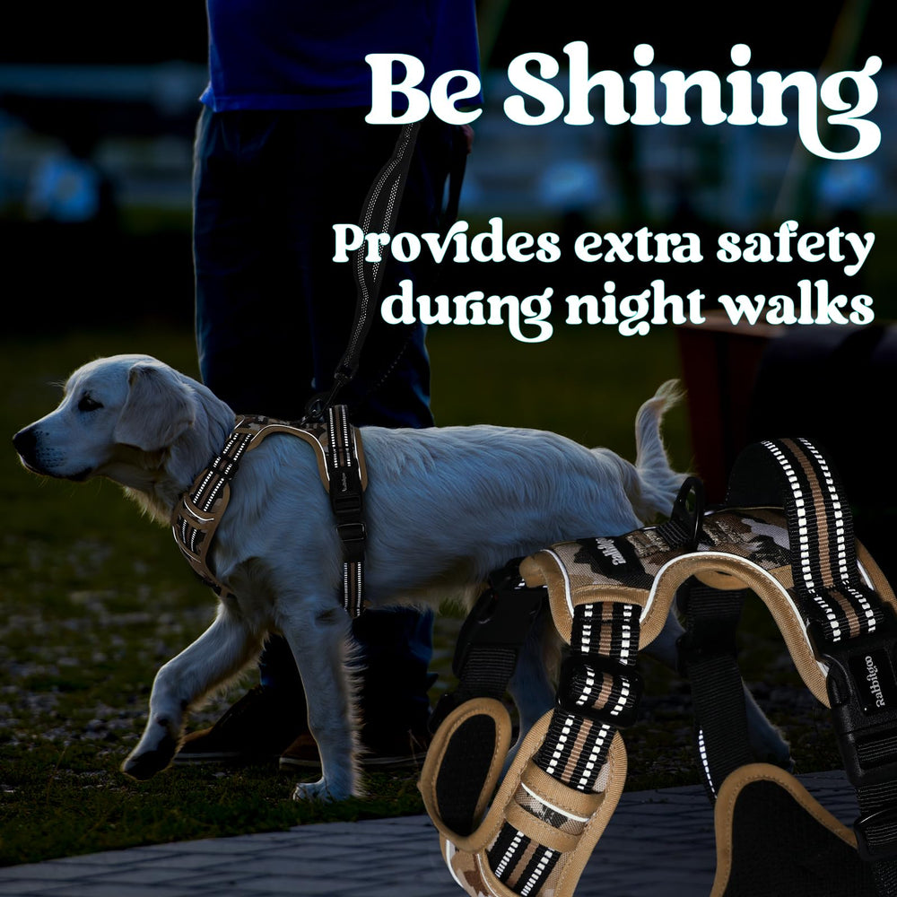 rabbitgoo Dog Harness for Large showing the top control handle.