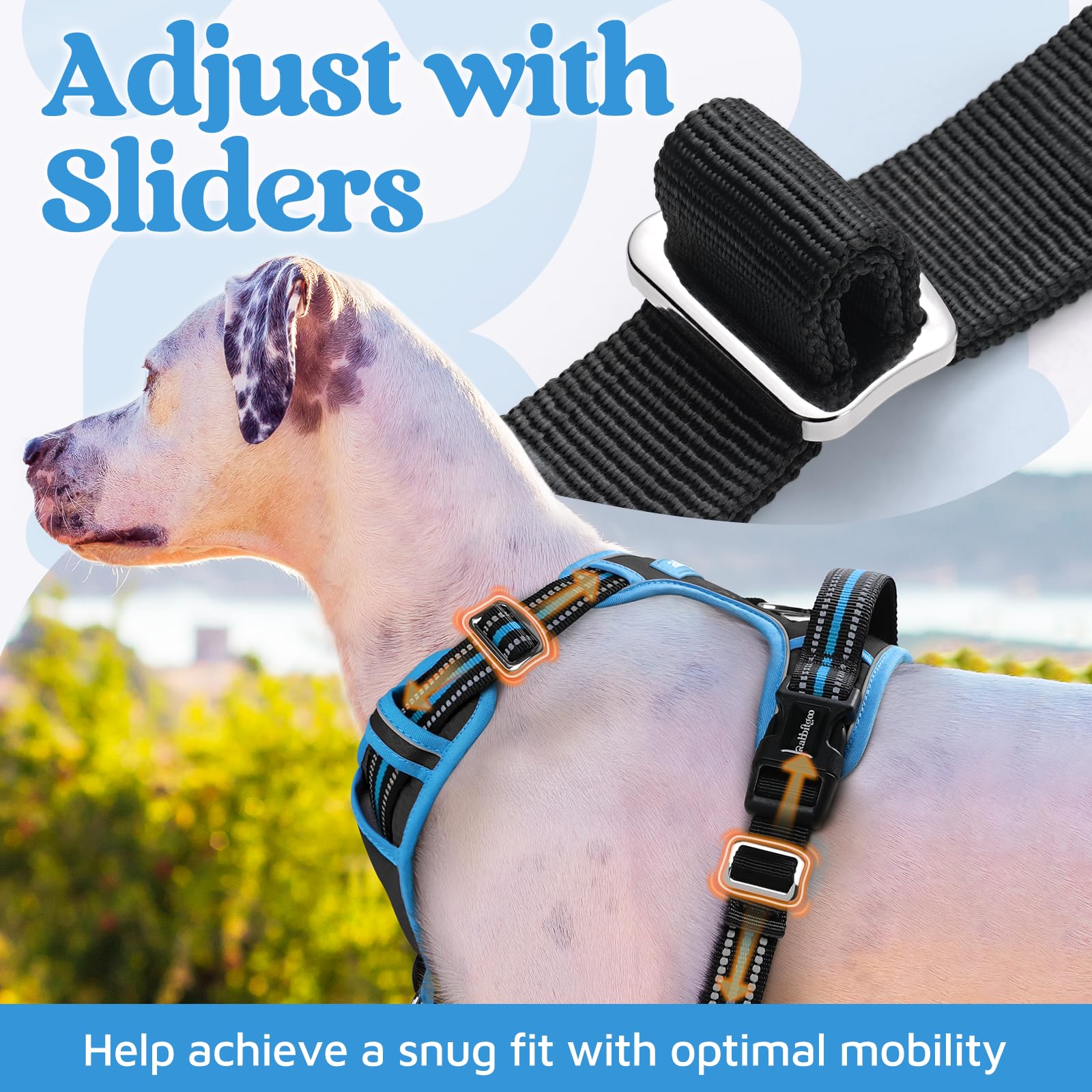 rabbitgoo dog harness detail showing the widened top handle