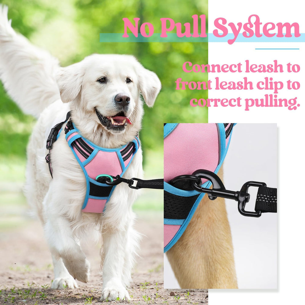 rabbitgoo dog harness viewed from above to show the top handle.