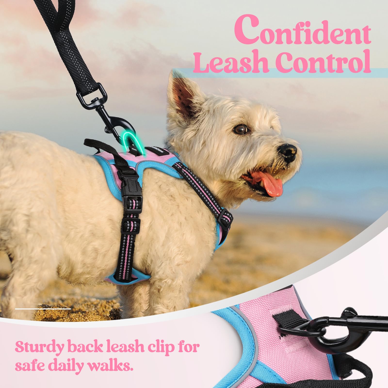 rabbitgoo Dog Harness shown with its top handle.