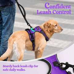 rabbitgoo Dog Harness shown with its top handle visible.