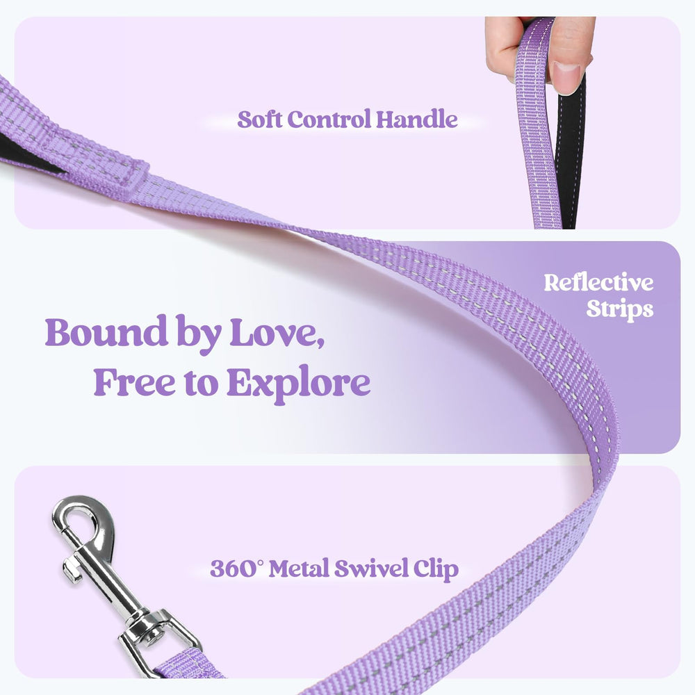 rabbitgoo dog harness detail showing its two D-rings