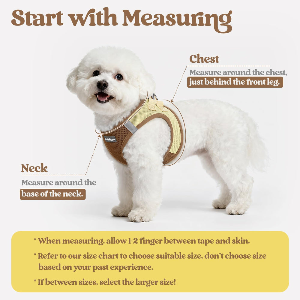 rabbitgoo dog harness vest shown from the front